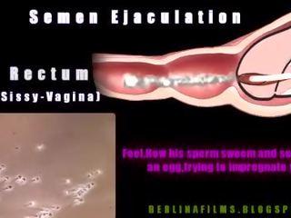Đồng tính aanatomy(some loại của sissy-trainer)