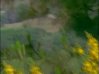 열정 cove s02e06 - 위에 로 sunday