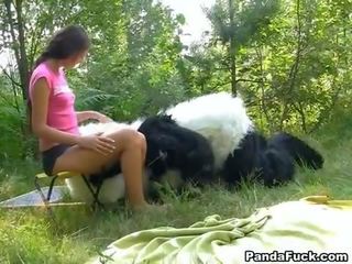 Секс кліп в в woods з a величезний іграшка panda