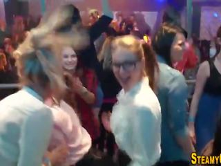 Вечірка бродяга spitroasted
