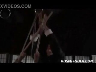 묶여 shibari suspended 과 볼기