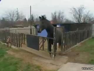 Анджи груб qualified към дръжка ферма момък