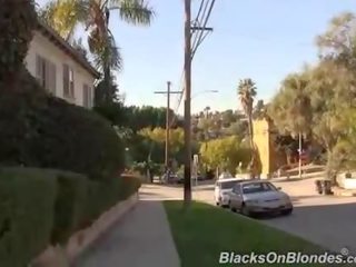 Brooklyn পশ্চাদ্ধাবন মধ্যে আন্তবর্ণ দলবদ্ধ
