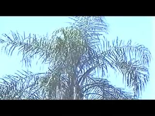 ブラジル人 大きい 戦利品 dandara 90年代