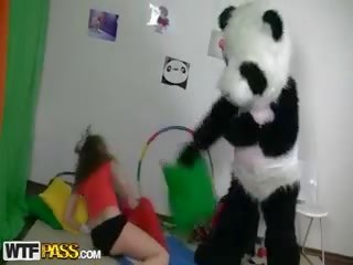~하는 브루 넷의 사람 에 있다 트리플 엑스 비디오 와 거대한 장난감 panda