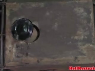 Hog пов'язаний покірна очеретом по чорна будинок