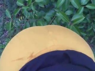 Cây mun gà con hút trên đâm bên ngoài của các công viên