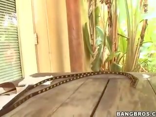 वाइल्ड और खिलवाड़ को आदी जोरदार राइडिंग