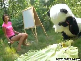 트리플 엑스 에 그만큼 숲 거의 에이 거대한 장난감 panda